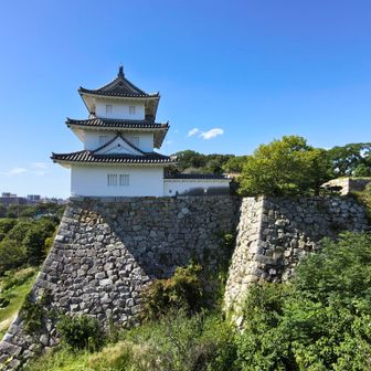 南東を守る巽櫓
高山右近の船上城より移築🏯