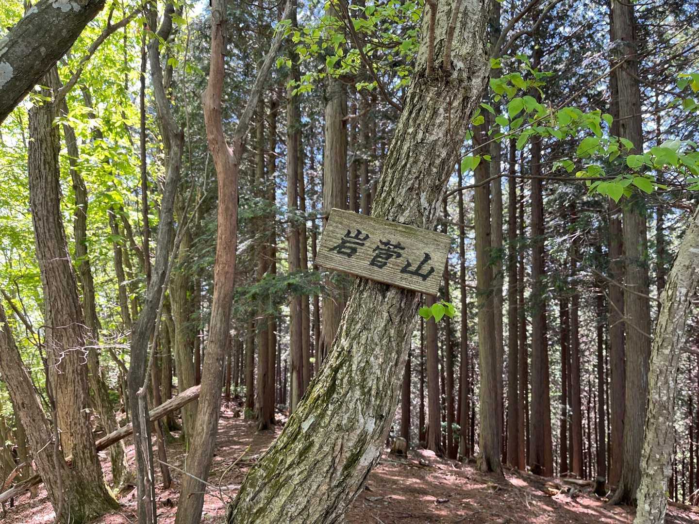 なのに分岐から5分の山にも、友人同行ぜず😆
どういうこと😅
