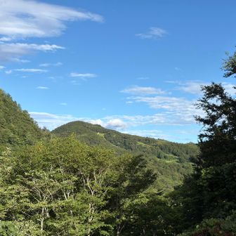 昔懐かしのシーサイドバレースキー場⛷️