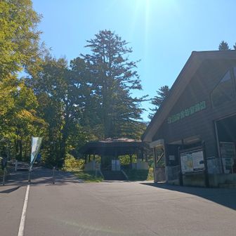 とても良心的で良いテント場。北海道のテント場最高
