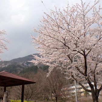 電車で戻り車を回収。