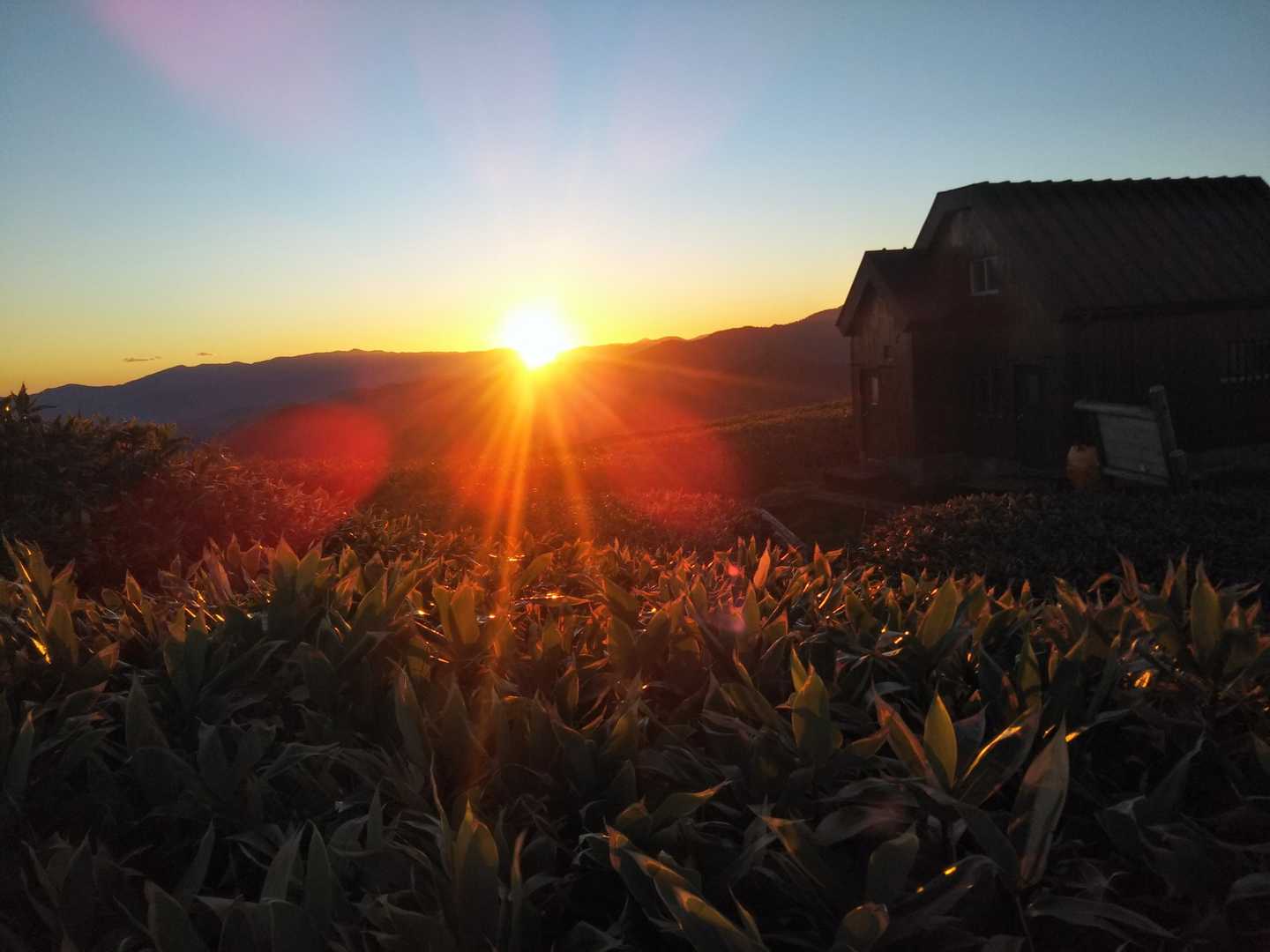 11日日の出🌄です。