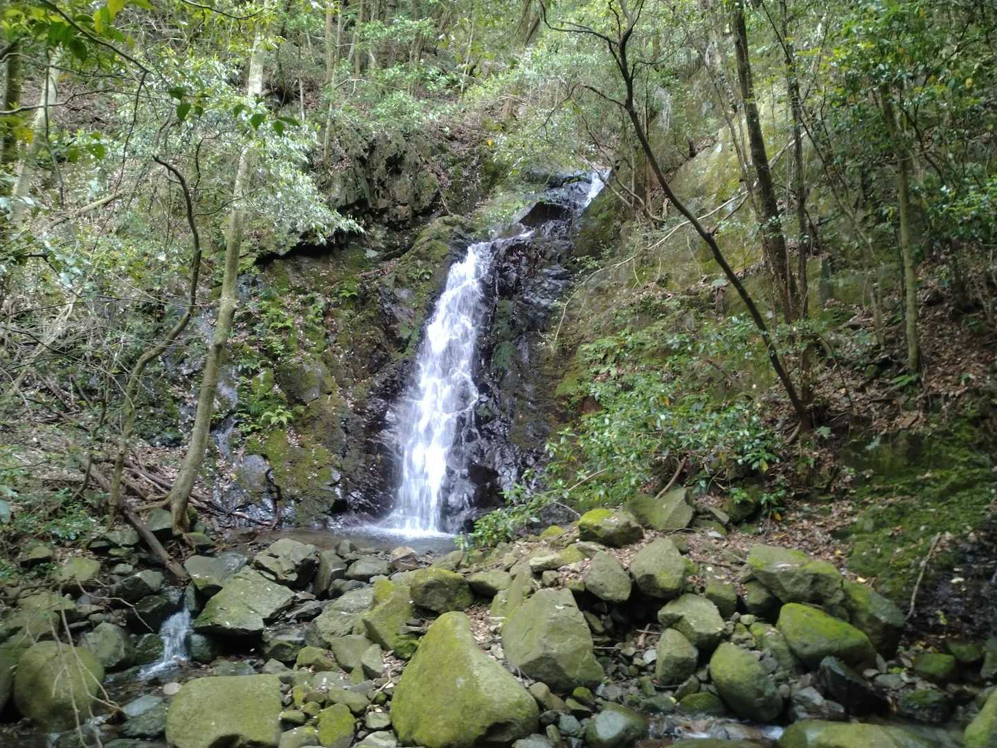 多良山系・登山道調査1日目(黒木〜中山越) / kazzの登山データ | YAMAP