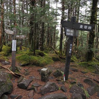 麦草峠方面へ