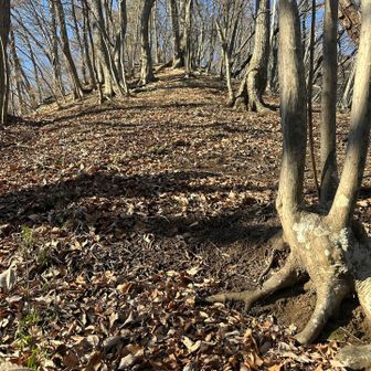 伝わらないと思うけど💦めちゃくちゃ急登😭