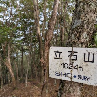 スタートを撮り忘れ
立石山▲
もうキツイ💦
ペース早すぎて反省　ゆっくり歩こう