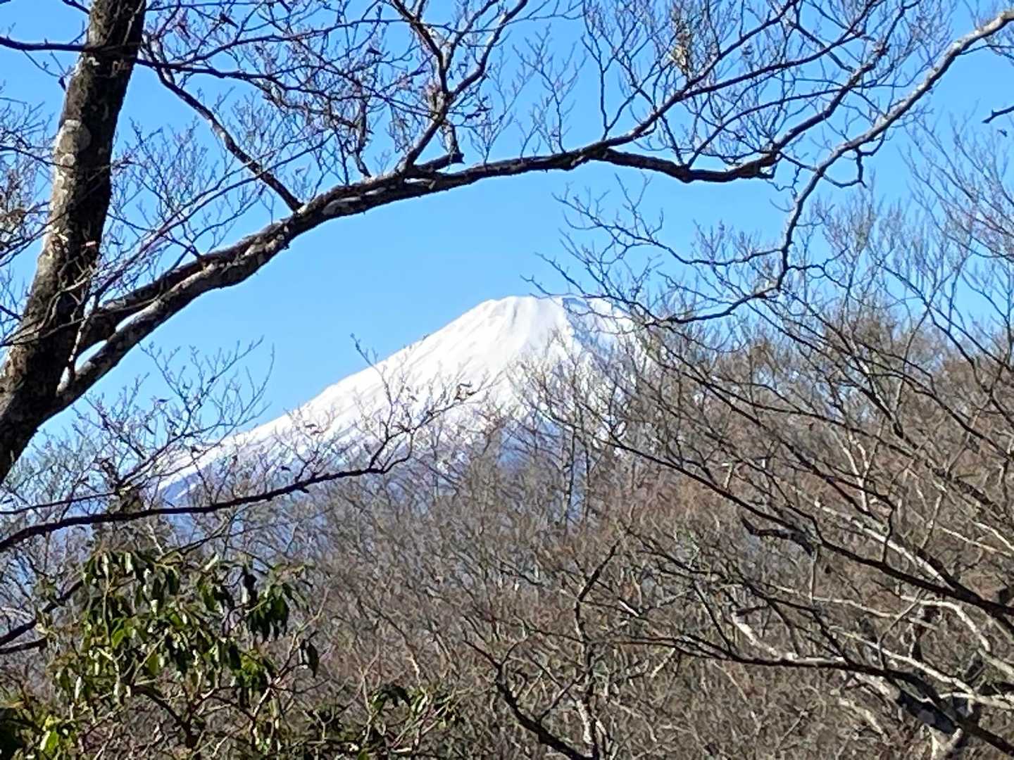西丹沢ビジターセンターバス停-畦ヶ丸山 往復コースの写真