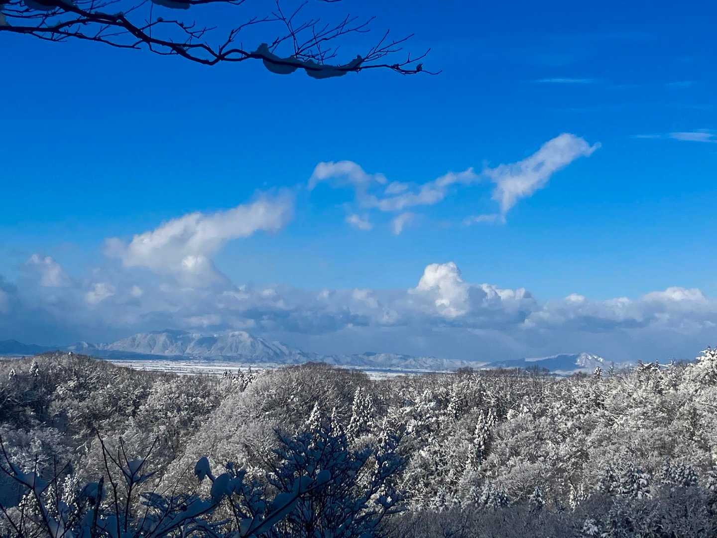 西蒲もさすがに白い☃️