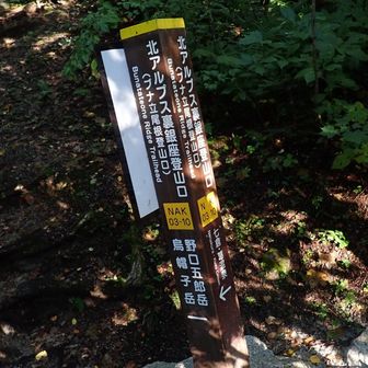 ブナ立尾根の始まり👍