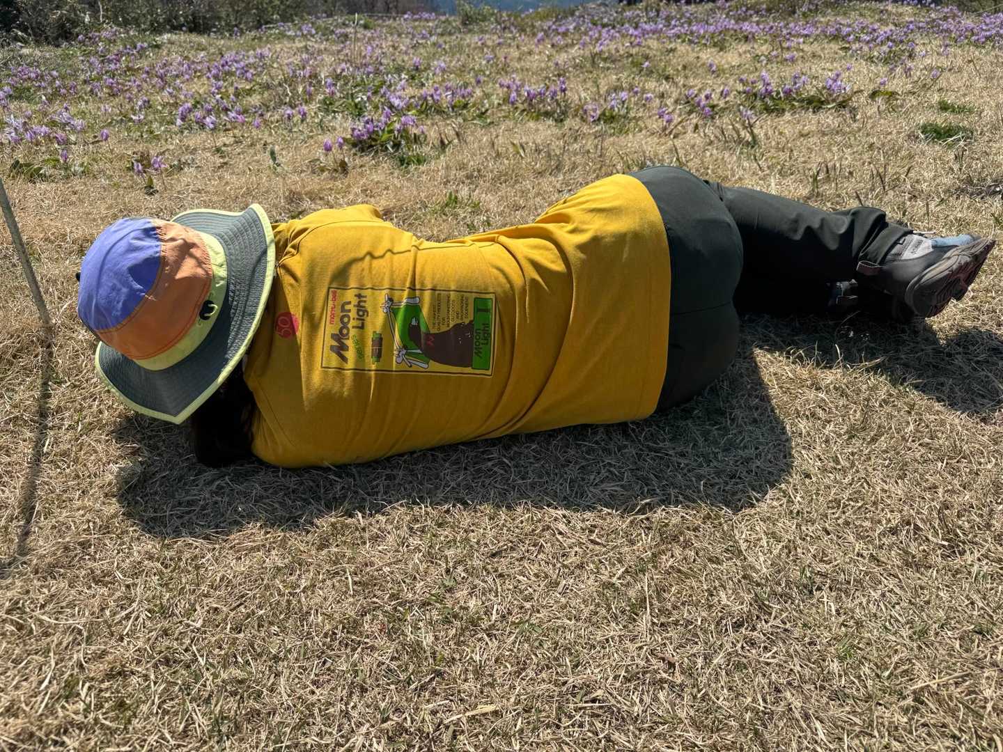 カタクリの花の写真を撮る基本ポーズ📸