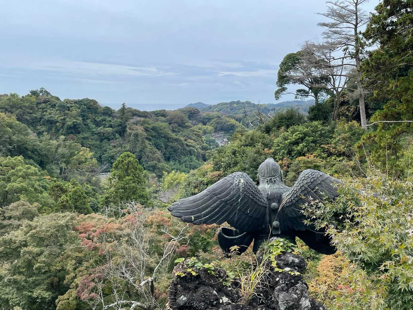 天狗の後ろ姿👺