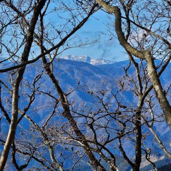 雲が切れて南アルプス🏔
こちらは聖岳かな…🤔

十枚山では見えなかった😣