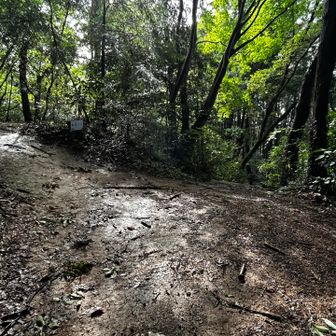 縦走路を三度左に寄り道