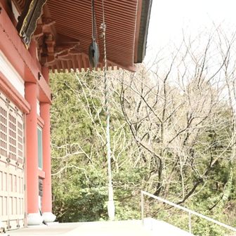登山口の神社、大きい
