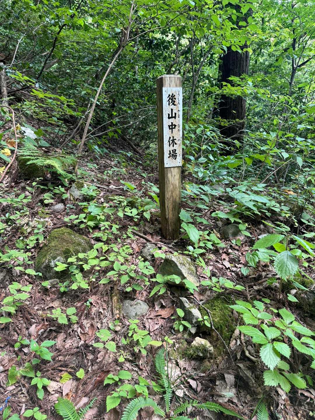 大師山登り口-大師山-三頭山-白山禅定道入口 縦走コースの写真