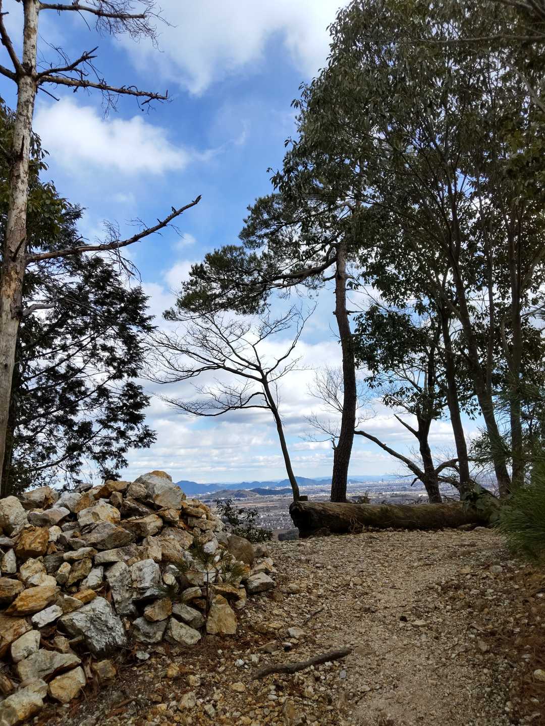 大谷山-野村坂 周回コースの写真