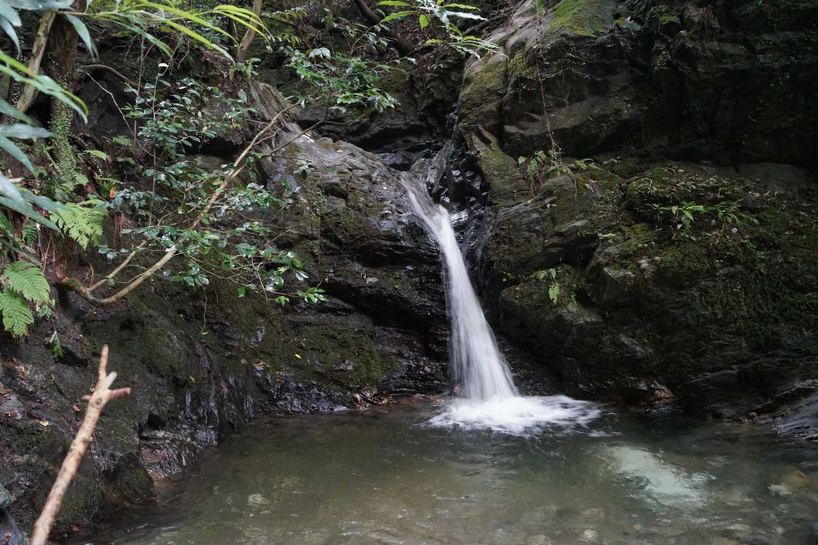 瑞梅寺登山口-井原山-水無登山口 周回コースの写真