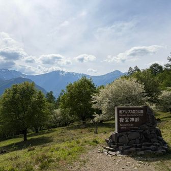 夜叉神峠に到着
最後まで南アルプスが最高でした😆
今回もいい山歩きでした。