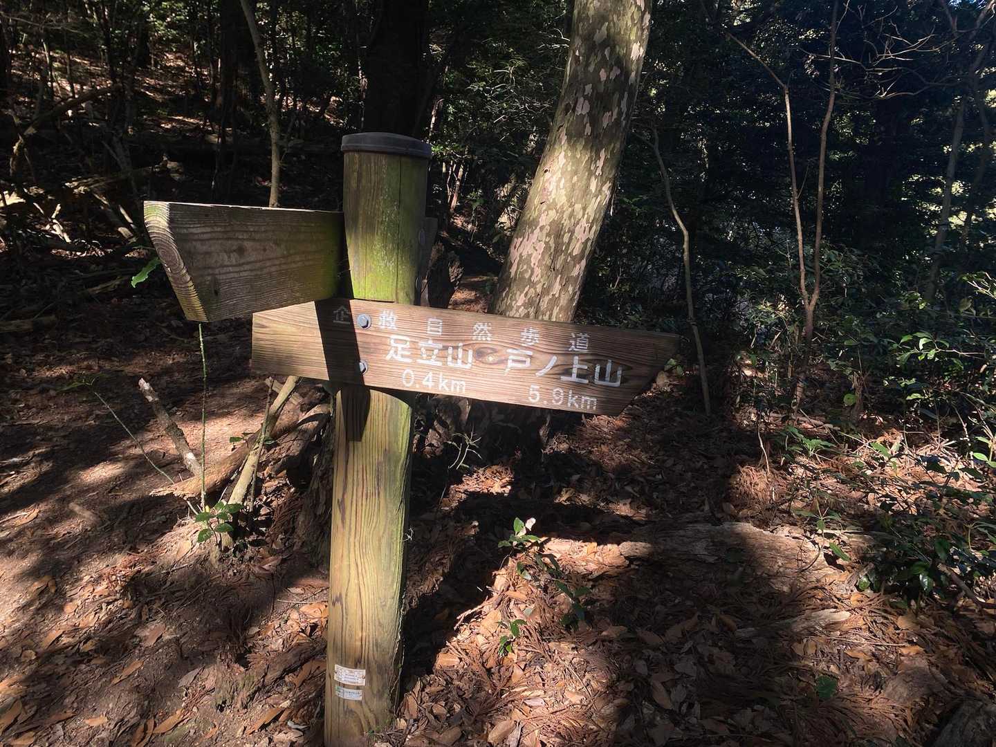 さぁ、登山道に戻ります。