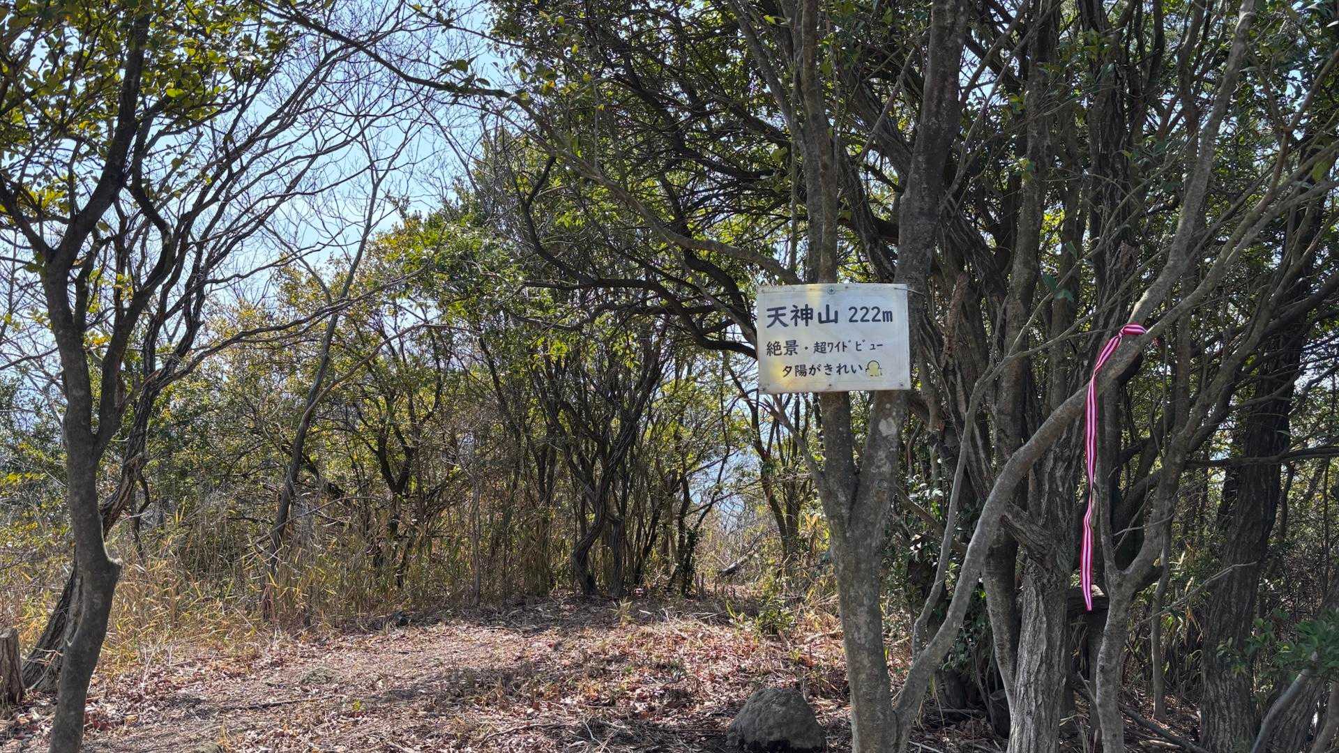 今回初めての天神山へ寄り道