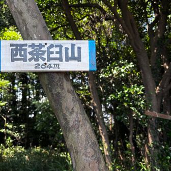 西茶臼山