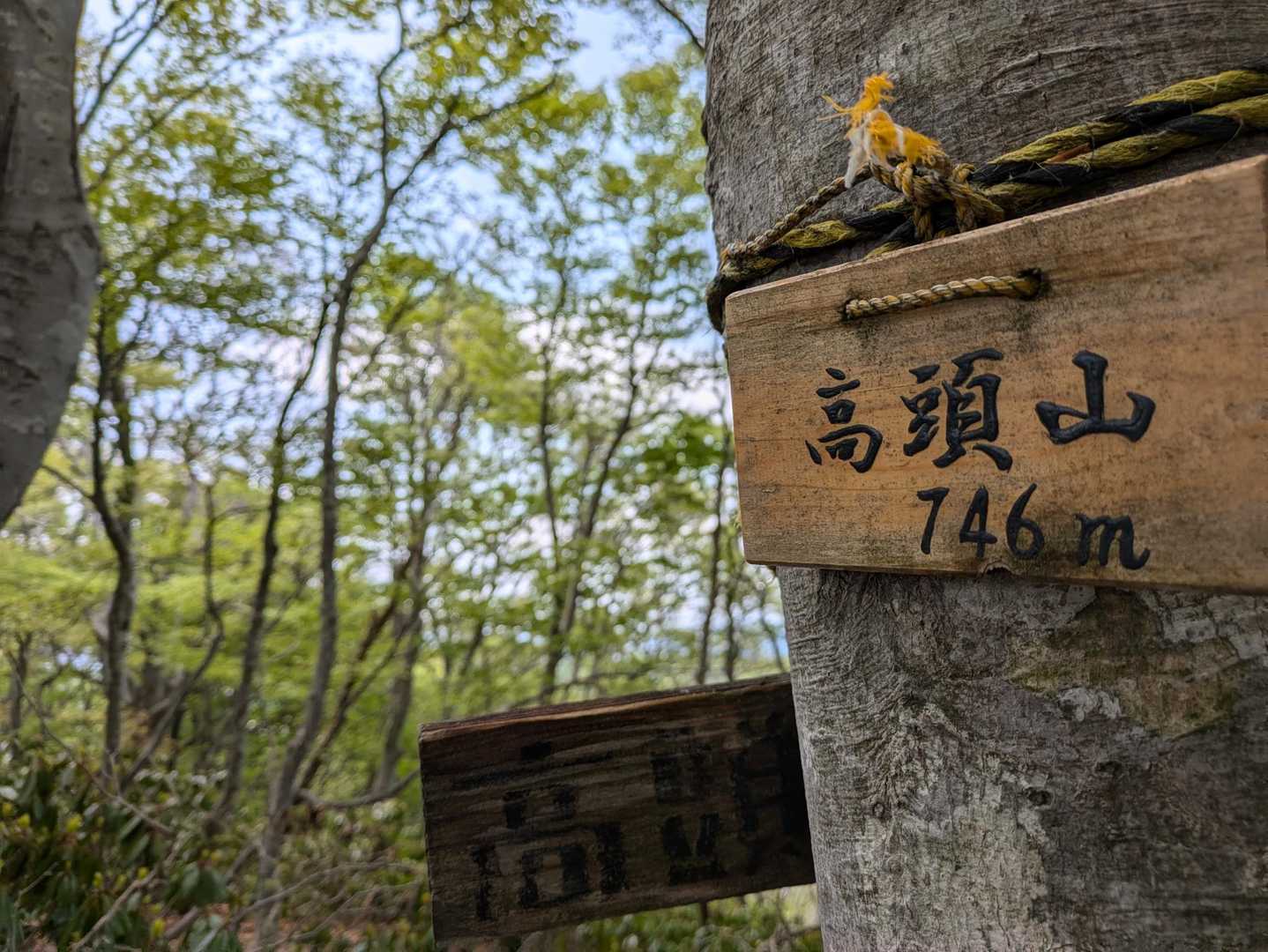 たかつむりやま