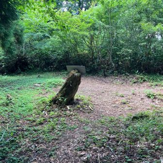 丸子頭は広場、眺望なし
