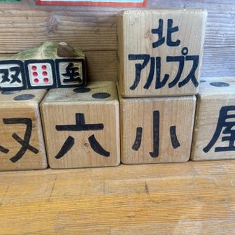 グッズたくさん！ノースフェイスやモンベルのTシャツ可愛い。在庫あれば買いでした