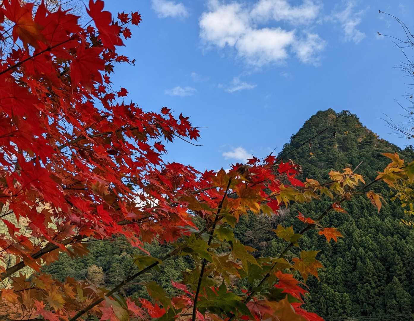 右に見えてきた特徴ある山は、
大岳山手前の愛宕山？