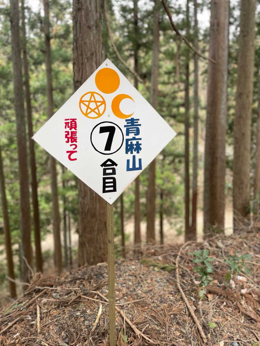 7合目…はい、頑張ります💪