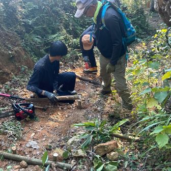 杭を打ち込むのは結構大変な作業
重いハンマーを2本持って来た