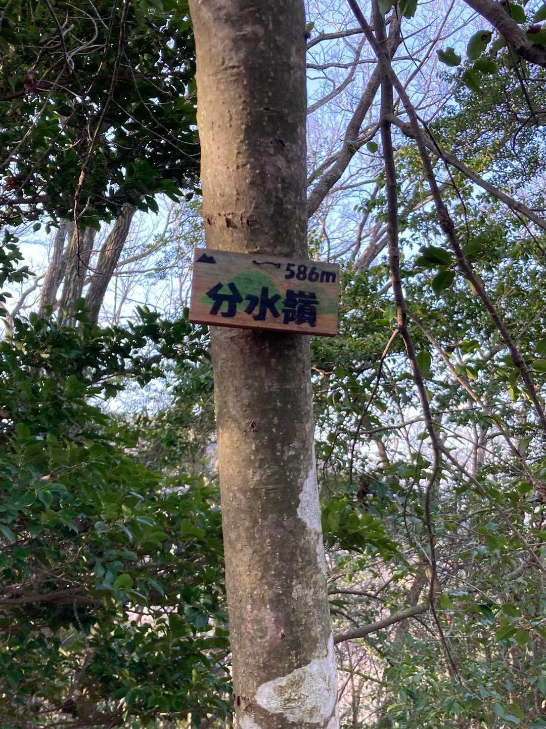 分水嶺