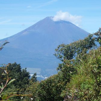 富士山