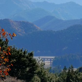 ちょっとよりみち展望台から見える、熊野本宮大社の旧社地・大斎原にそびえる大鳥居。