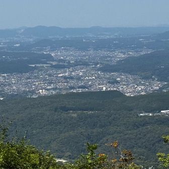瑞穂の街？が見える👀山々は霞んでいて見えなかった。😢