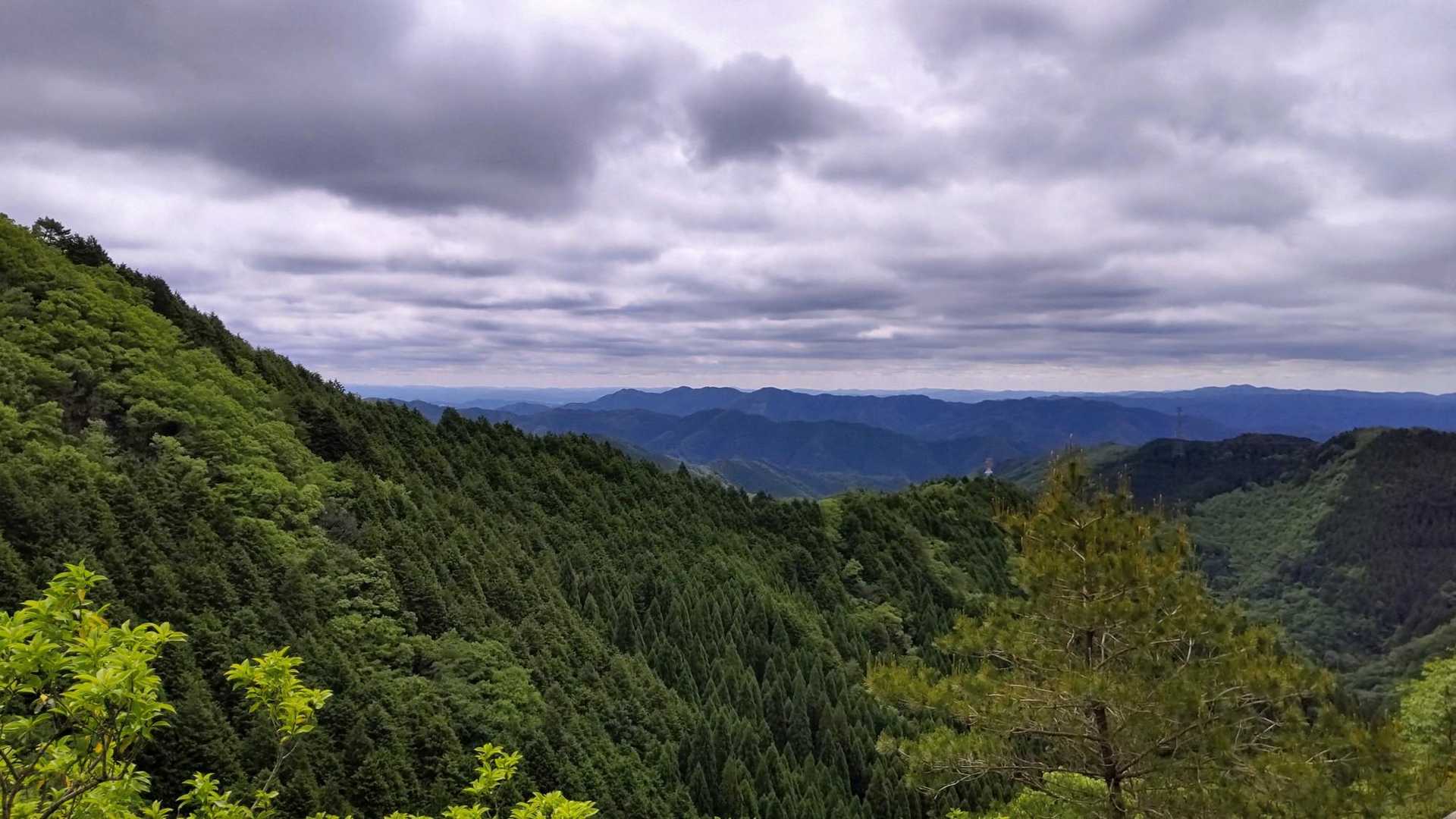 天気は曇ってたんで景色はずっとこんな感じ