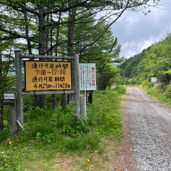 湯の丸高峰林道を使い🅿️へ戻ります