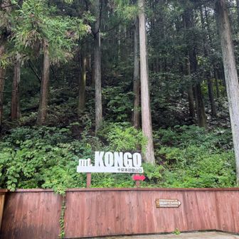 千早本道からツツジオ谷へレッツラゴー✊