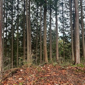 土代(ツチラ)山