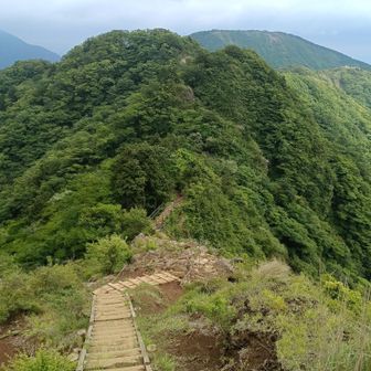 帰りに立ちはだかる山々
手前が行者ヶ岳、右奥が三ノ塔。
左奥は大山かな？雲がかかってます