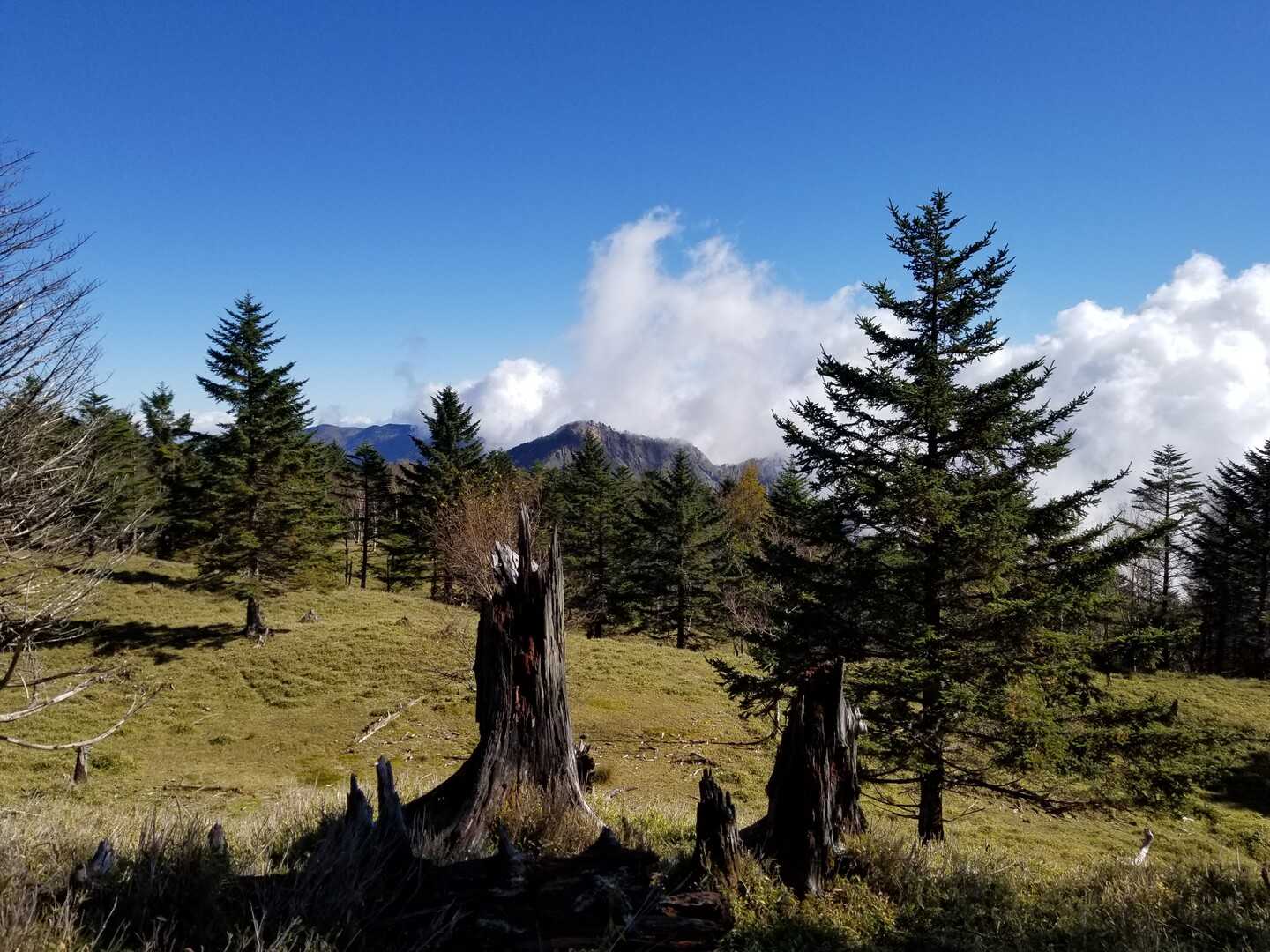 山伏の写真