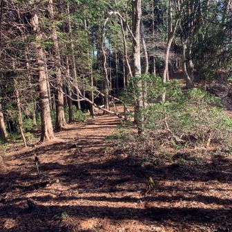 一旦、展望所へ、戻ります