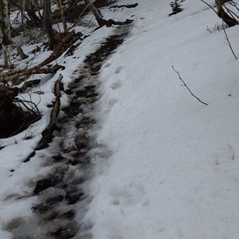 雪道と雨の影響で道がドロドロ