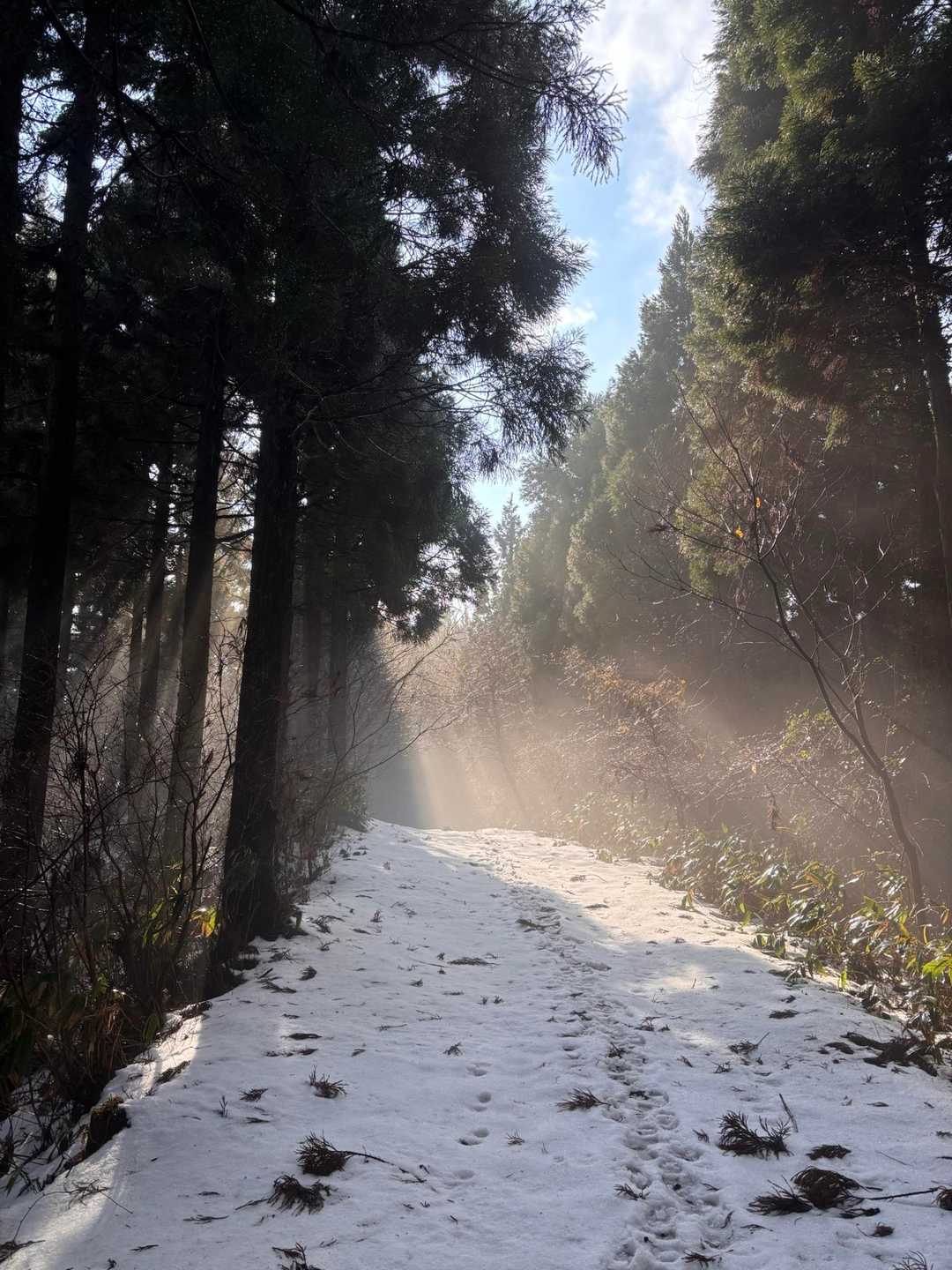 三千坊山 往復コースの写真