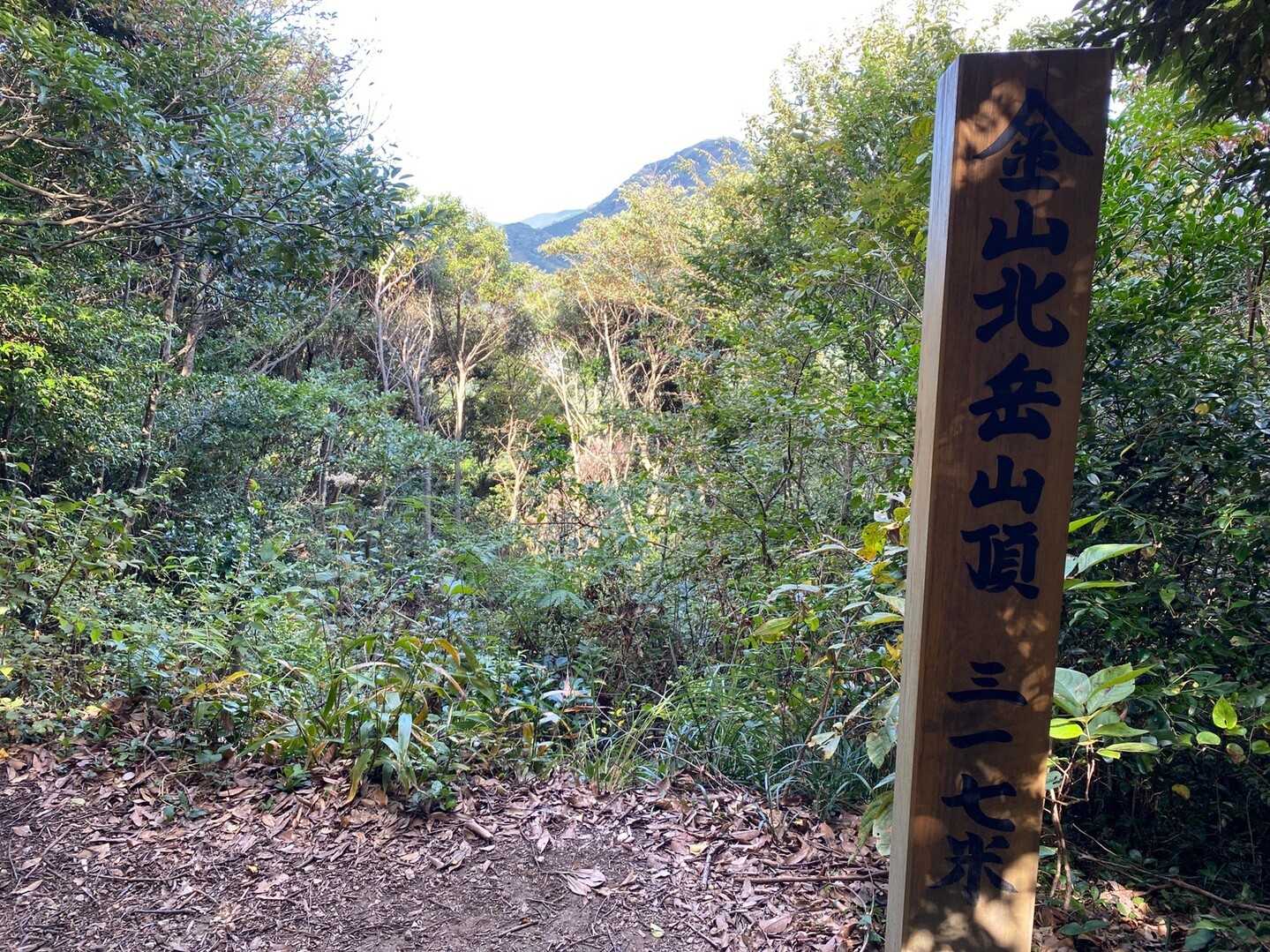 金山北岳の写真