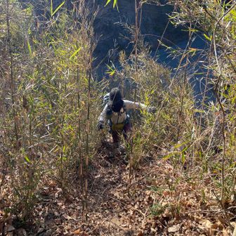 ずっと歩きやすかったのに突然の急登
笹に掴まりながら