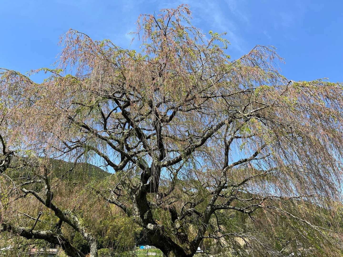 下居バス停-善法寺-経ヶ塚山-経ヶ塚山登り口 縦走コースの写真