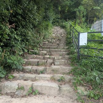 久ぶりにこちらから