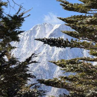 zoom👀

綺麗✨✨