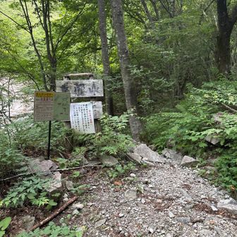 広河原登山口へ到着